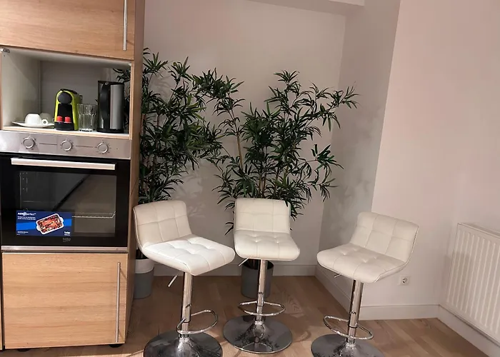 365 In * ブカレスト